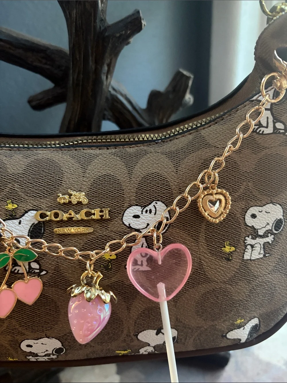 Coach shoulder bag